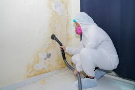 Best Comprehensive Air Testing for Mold Contaminants  in Woodbine, GA